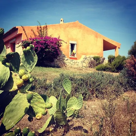 Country house Li Espi Country *