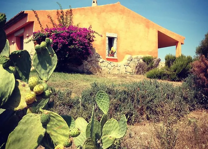 Kır Evi Li Espi Country *